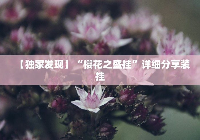 【独家发现】“樱花之盛挂	”详细分享装挂