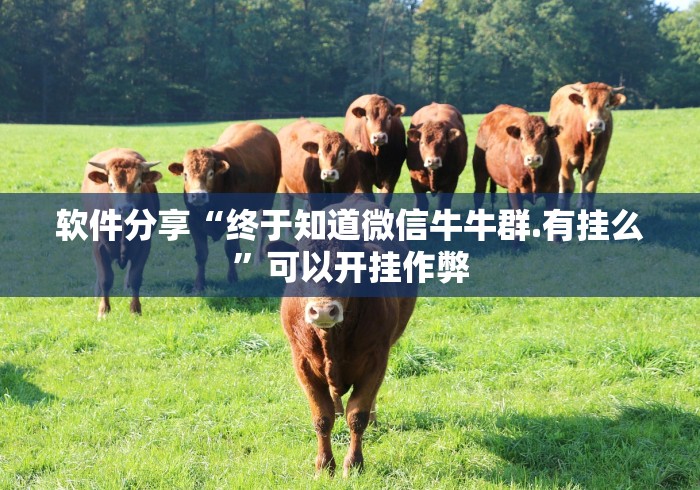 软件分享“终于知道微信牛牛群.有挂么	”可以开挂作弊