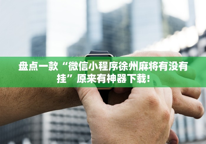 盘点一款“微信小程序徐州麻将有没有挂”原来有神器下载!