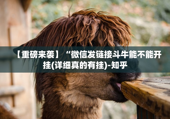 【重磅来袭】“微信发链接斗牛能不能开挂(详细真的有挂)-知乎