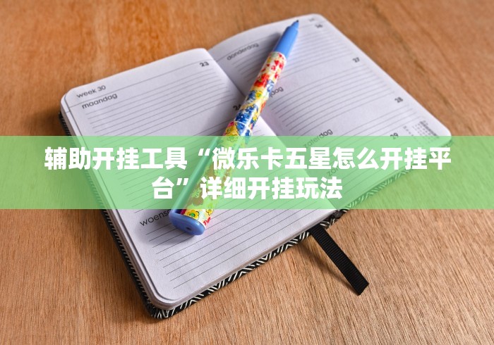 辅助开挂工具“微乐卡五星怎么开挂平台”详细开挂玩法