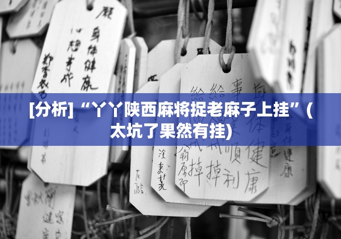 [分析]“丫丫陕西麻将捉老麻子上挂	”(太坑了果然有挂)