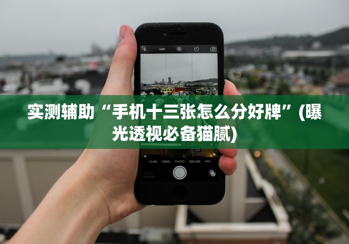 实测辅助“手机十三张怎么分好牌”(曝光透视必备猫腻)