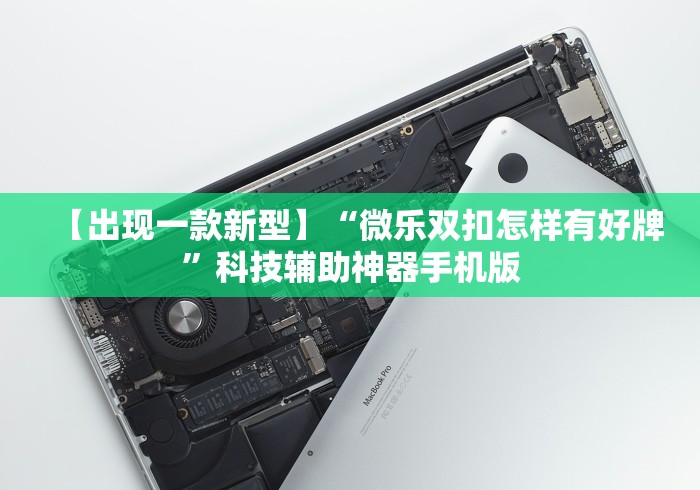 【出现一款新型】“微乐双扣怎样有好牌”科技辅助神器手机版