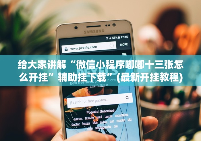 给大家讲解“微信小程序嘟嘟十三张怎么开挂”辅助挂下载”(最新开挂教程)