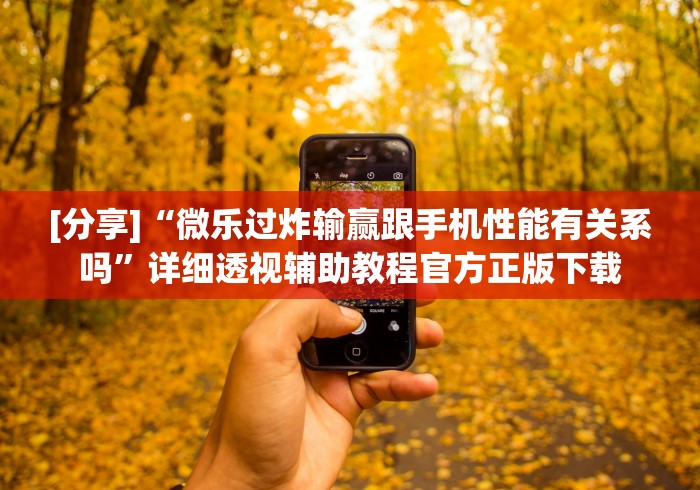 [分享]“微乐过炸输赢跟手机性能有关系吗”详细透视辅助教程官方正版下载