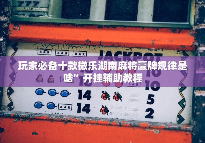 玩家必备十款微乐湖南麻将赢牌规律是啥	”开挂辅助教程