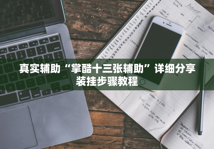 真实辅助“掌酷十三张辅助	”详细分享装挂步骤教程