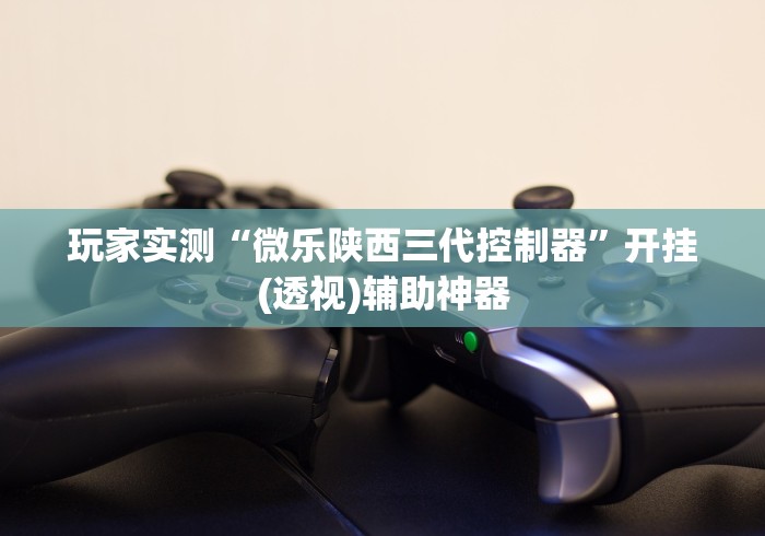 玩家实测“微乐陕西三代控制器”开挂(透视)辅助神器