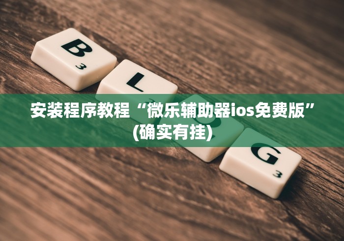 安装程序教程“微乐辅助器ios免费版”(确实有挂)