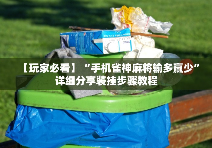 【玩家必看】“手机雀神麻将输多赢少”详细分享装挂步骤教程