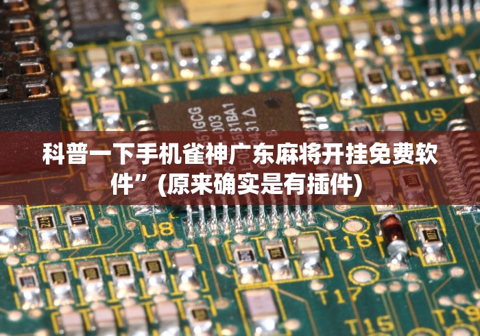 科普一下手机雀神广东麻将开挂免费软件”(原来确实是有插件) 