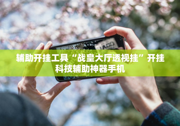 辅助开挂工具“战皇大厅透视挂”开挂科技辅助神器手机