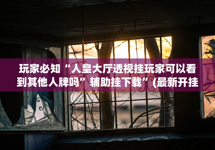 玩家必知“人皇大厅透视挂玩家可以看到其他人牌吗”辅助挂下载	”(最新开挂教程)