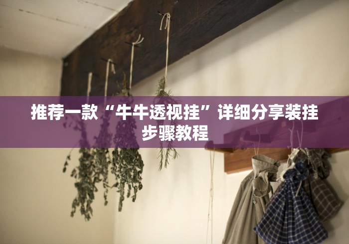 推荐一款“牛牛透视挂	”详细分享装挂步骤教程