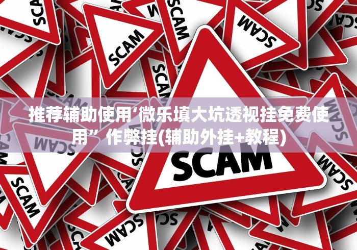 推荐辅助使用‘微乐填大坑透视挂免费使用”作弊挂(辅助外挂+教程)