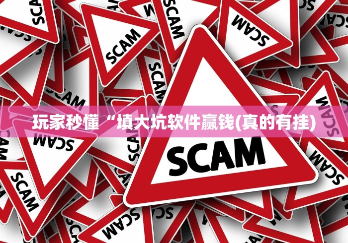 玩家秒懂“填大坑软件赢钱(真的有挂) 玩家秒懂“填大坑软件赢钱(真的有挂)