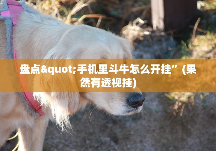 盘点"手机里斗牛怎么开挂”(果然有透视挂)
