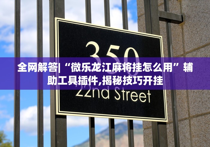 全网解答|“微乐龙江麻将挂怎么用”辅助工具插件,揭秘技巧开挂