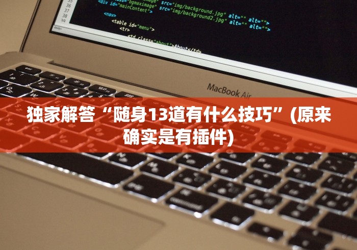 独家解答“随身13道有什么技巧”(原来确实是有插件)