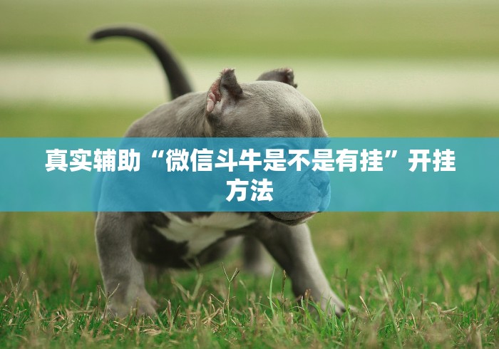真实辅助“微信斗牛是不是有挂”开挂方法